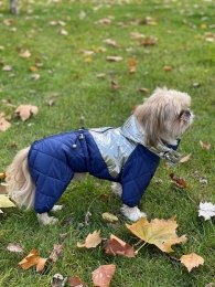 Комбінезон Лунтик стьобаний силікон (хлопчик) -  Зимовий одяг для собак 