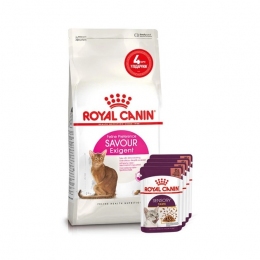 АКЦИЯ Royal Canin Exigent Savour для привередливых набор корму для кошек 2 кг + 4 паучи -  Сухой корм для кошек -   Особенность: Привередливые  
