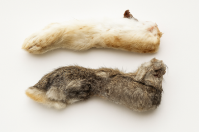 Лапки домашнего кролика с шерстью сушёные, 2 шт - Similar products