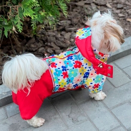 Комбінезон Веснянка силікон (дівчинка) - Одяг для собак