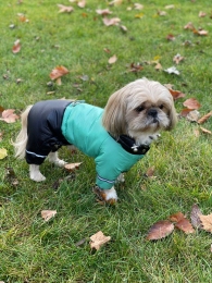 Комбинезон Вуди на силиконе (мальчик) -  Зимняя одежда для собак 