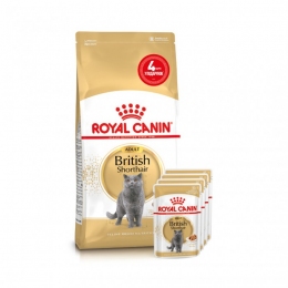 АКЦИЯ Royal Canin British shorthair корм для кошек британская короткошерстная 2 кг+ 4 паучи -  Сухой корм для кошек -   Для пород: Британская короткошерстная  