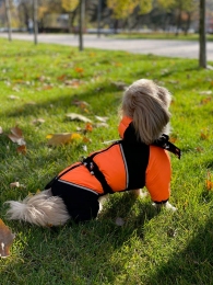 Комбинезон Рики на силиконе (мальчик) -  Одежда для собак -   Размер одежды XS  