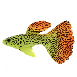 Рыбка силиконовая Гуппи 7.5 см CL0020 - Декорации для аквариума