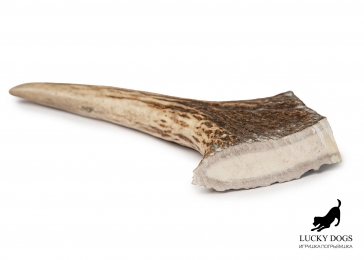 Рог лося Lucky Dogs, L - Similar products