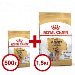 Акция Сухой корм Royal Canin Yorkshire Terrier Adult 1,5кг + 500г в подарок - Акция Роял Канин