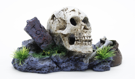 Череп з кістками - Similar products