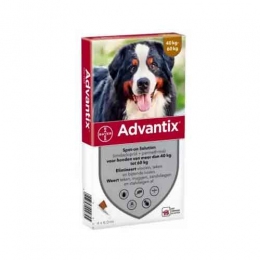 Advantix (Адвантикс) для собак Bayer 40-60кг -  Средства от блох и клещей для собак -   Действующее вещество: Имидаклоприд  