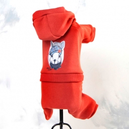 Комбінезон Гоша трикотаж на флісі (хлопчик) -  Одяг для собак -   Матеріал Трикотаж  