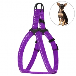 Шлея для собак BronzeDog фиолетовая пластиковый фастекс 1307 68Т -  Шлеи для собак BronzeDog     