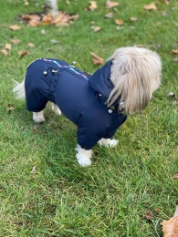 Комбинезон Бинго на силиконе (мальчик) -  Одежда для собак -   Размер одежды S3  