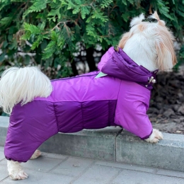 Комбінезон Волошка силікон (дівчинка) -  Зимовий одяг для собак 
