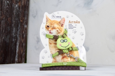 Комплект бардачка, шолом з повідцем для кішки салатова - Амуніція для котів