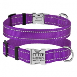 Ошейник ACTIVE нейлоновый со светоотражением и металлической пряжкой Фиолетовый -  Амуниция для собак BronzeDog     