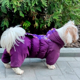Комбинезон Азалия силикон (девочка) -  Одежда для собак -   Размер одежды XXS  