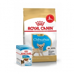 АКЦІЯ Royal Canin Chihuahua Puppy набір корму для цуценят 1,5 кг + 4 паучі -  Сухий корм для собак -   Для порід Чихуахуа  