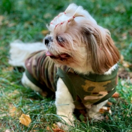 Фліска Толстовка для собак на флісі мульт -  Одяг для собак -   Розмір одягу S3  