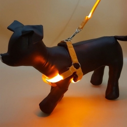 Шлея LED с перестежкой комплект L 2,5х15х60см 45см Оранжевый -  Шлеи для собак мелких пород BronzeDog   
