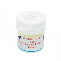 Амоксициллин клавулановая кислота 20 таблеток банка -  Ветпрепараты для собак - Другие   