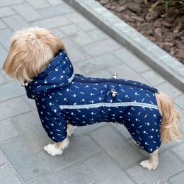 Комбинезон Дождик силикон (мальчик) -  Одежда для собак -   Размер одежды S  
