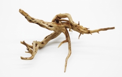 Декорація корінь азалія для акваріума. - Акваріуми для рибок