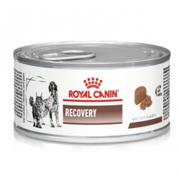 Royal Canin Recovery вологий корм - Консерви для собак