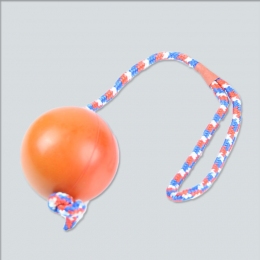 Мяч на веревке - игрушка для собак - Мячики для собак
