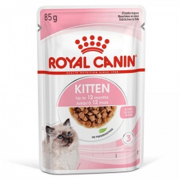 Royal Canin KITTEN Gravy (Роял Канин) для котят кусочки в соусе 85г - Корм для бенгальских котов