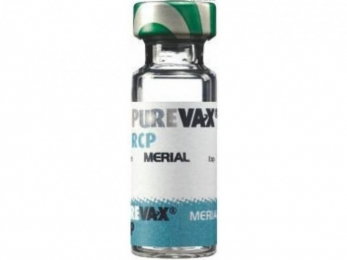 Пюревакс вакцина для кошек RCP (X/10/X) - Вакцины для кошек
