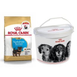 АКЦИЯ Royal Canin Yorkshire Terrier Puppy Сухой корм для щенков с мясом птицы и рисом 1,5 кг + контейнер -  Сухой корм для щенков 