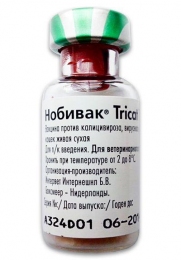 Нобівак Трикет ТРІО, Intervet (Без розчинника) - Вакцини для котів