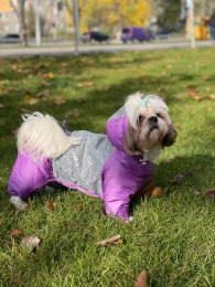 Комбинезон Полли на силиконе (девочка) -  Одежда для собак -   Материал: Силикон  