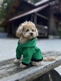 Худи Indigo Digi Dog  для собак с карманом толстовка Зеленая. Xl. 40 см. / 62 см. -  Собаки -    