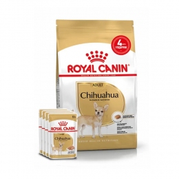 АКЦІЯ Royal Canin Chihuahua AD набір корму для собак 1,5 кг + 4 паучі -  Сухий корм для собак -   Для порід Чихуахуа  