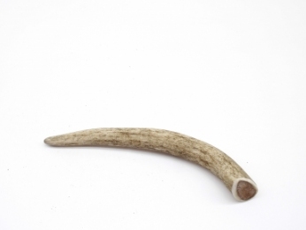 Ріг оленя Lucky dogs Середній. - Similar products