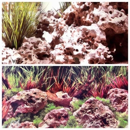 Фон для аквариума двусторонний Marine Planted Hideaway/Texas Cloud, 30х60 см - Similar products