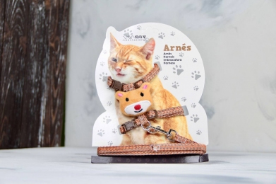 Комплект Хом'ячок, шлея з повідцем для кішки помаранчева - Амуніція для котів