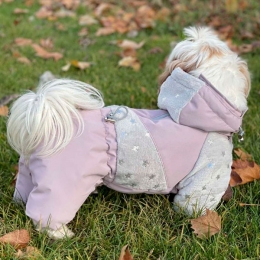 Комбинезон Тейси на силиконе (девочка) -  Зимняя одежда для собак 
