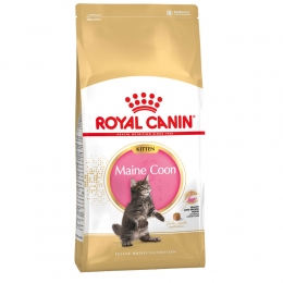 Royal Canin Maine Coon Kitten сухой корм для котят породы Мэйн Кун от 3 мес до 15 мес 1,6 кг+400г Акция -  Сухой корм для кошек -   Для пород: Мейн-кун  