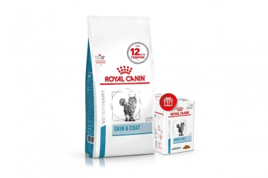 АКЦІЯ Royal Canin Skin Coat Feline - сухий корм для кішок при дерматозах 3,5 кг + 12 пауч - 