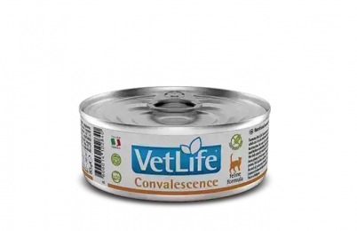 Влажный корм Farmina Vet Life Convalescence для кошек для восстановления, 85 г - Similar products