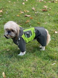Комбинезон Удача силикон (мальчик) -  Зимняя одежда для собак 