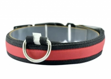 Ошейник USB нейлон M 2,5 см. 37-46 см. -  Собаки -    