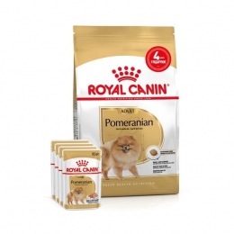 АКЦІЯ Royal Canin Pomeranian Adult корм для дорослих собак породи померанський шпіц 1,5 кг + 4 паучі -  Сухий корм для собак -   Для порід Шпіц  