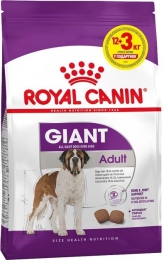 АКЦИЯ Royal Canin SHN GIANT ADULT сухой корм для собак 12 кг + 3 кг -  Сухой корм для собак -   Особенность: Крупные  