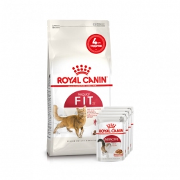 АКЦИЯ Royal Canin FIT 32 корм для домашних и уличных котов 2 кг + 4 паучи -  Корм Роял Канин для кошек 