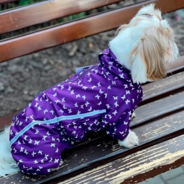 Комбинезон Куколка на тонкой подкладке (девочка) -  Одежда для собак -   Размер одежды S2  