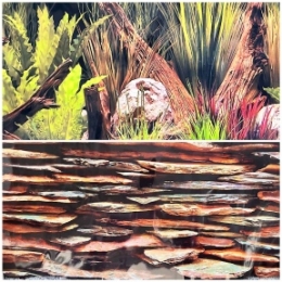 Двосторонній фон. Marine Planted Oasis/State Wall 46*91 см. - Similar products