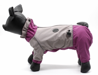 Дощовик Тора на тонкій підкладці (дівчинка) -  Одяг для собак -   Для порід Бігль  