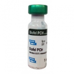 Биофел PCH — вакцина для кошек (Biofel PCH) -  Вакцины для кошек - Bioveta     